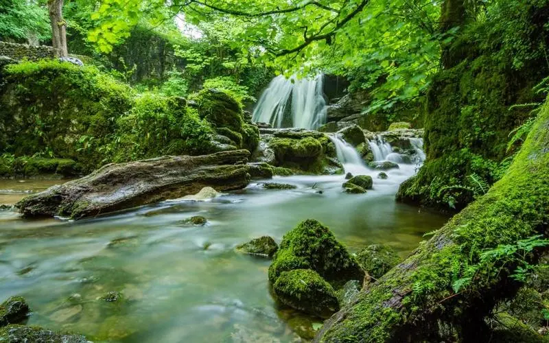 高效智能化